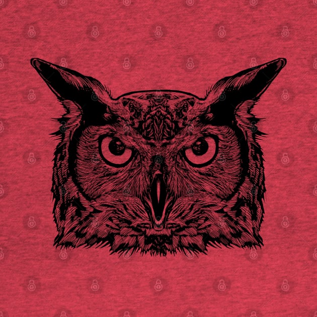 The Owl by barmalisiRTB